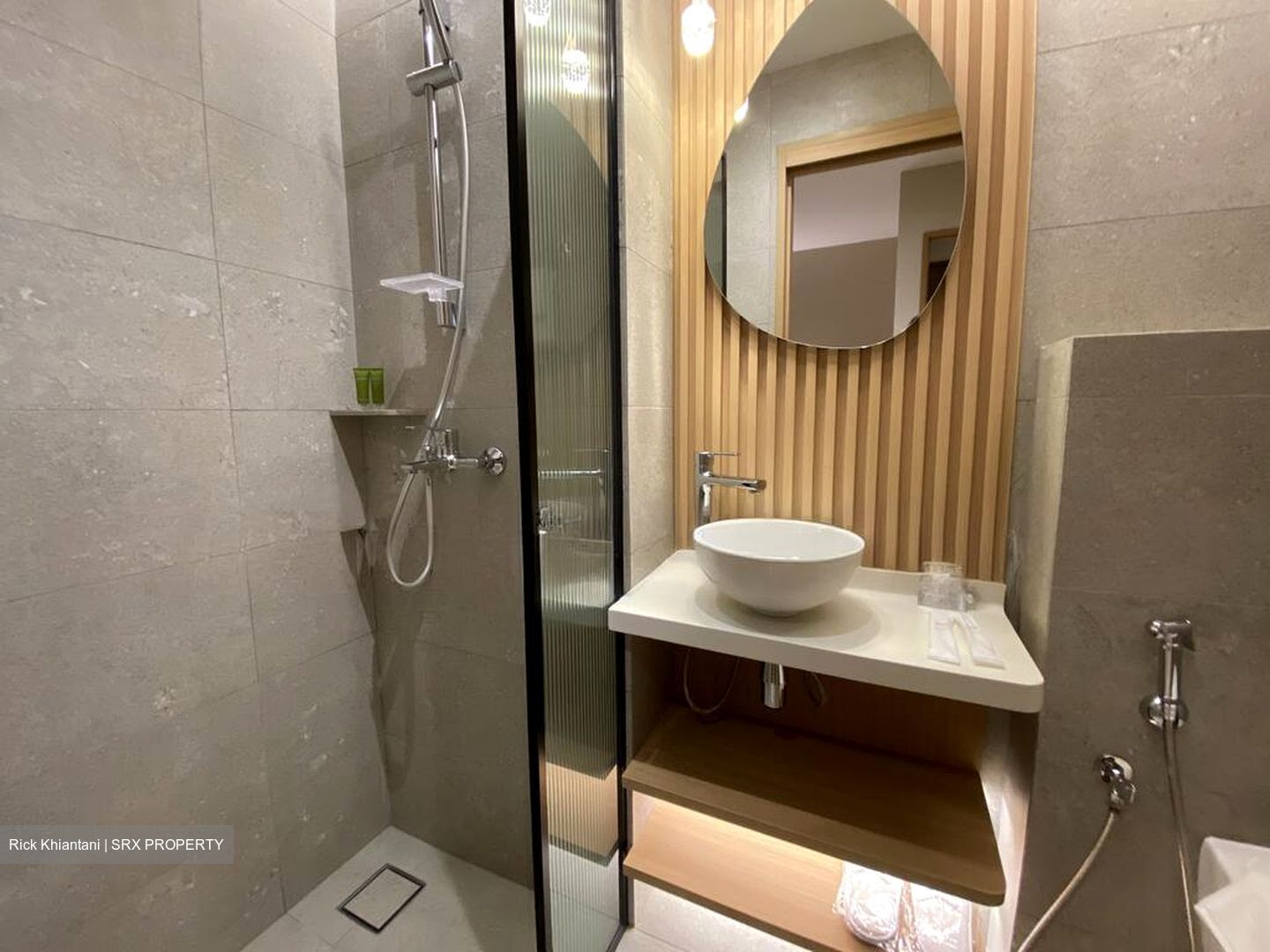 Mount Elizabeth Link (D9), Apartment #584030741